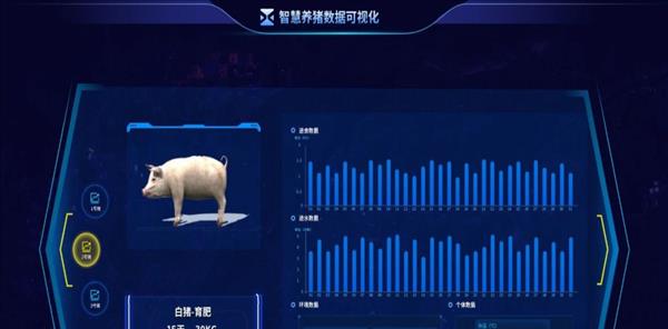 全国养猪行业(中国养猪场行业数据分析网站有哪些)