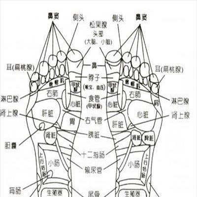脚上的穴位图及功能(关联：脚部的穴位图及功能)